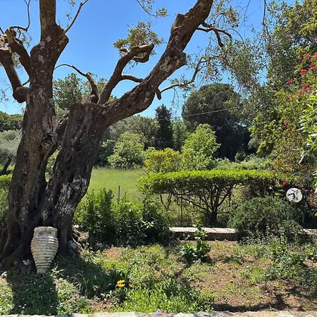 Villa Marialetta Agnítsini