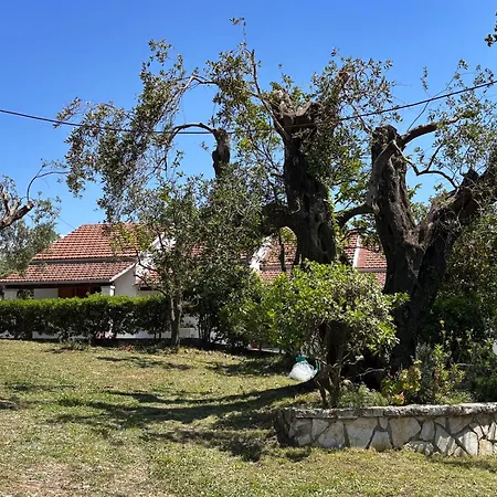 Villa Marialetta *