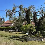 Villa Marialetta *