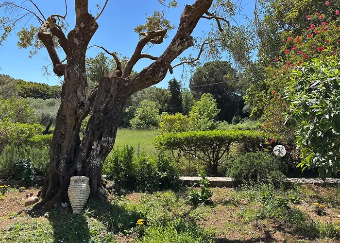 别墅 Marialetta Agnítsini